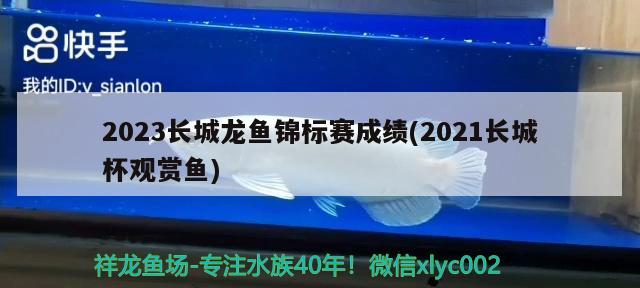 2023長城龍魚錦標(biāo)賽成績(2021長城杯觀賞魚)