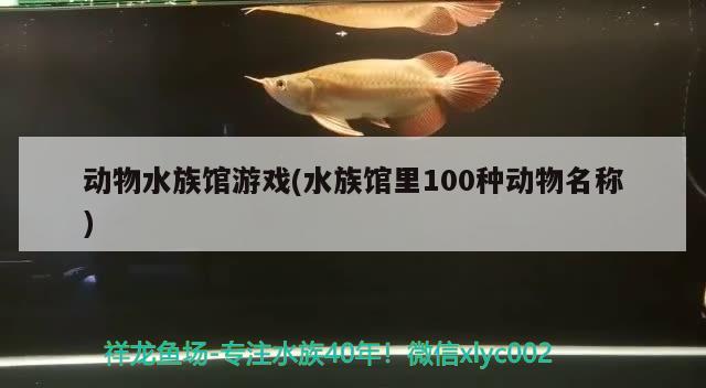 動物水族館游戲(水族館里100種動物名稱) 2025第29屆中國國際寵物水族展覽會CIPS（長城寵物展2025 CIPS）