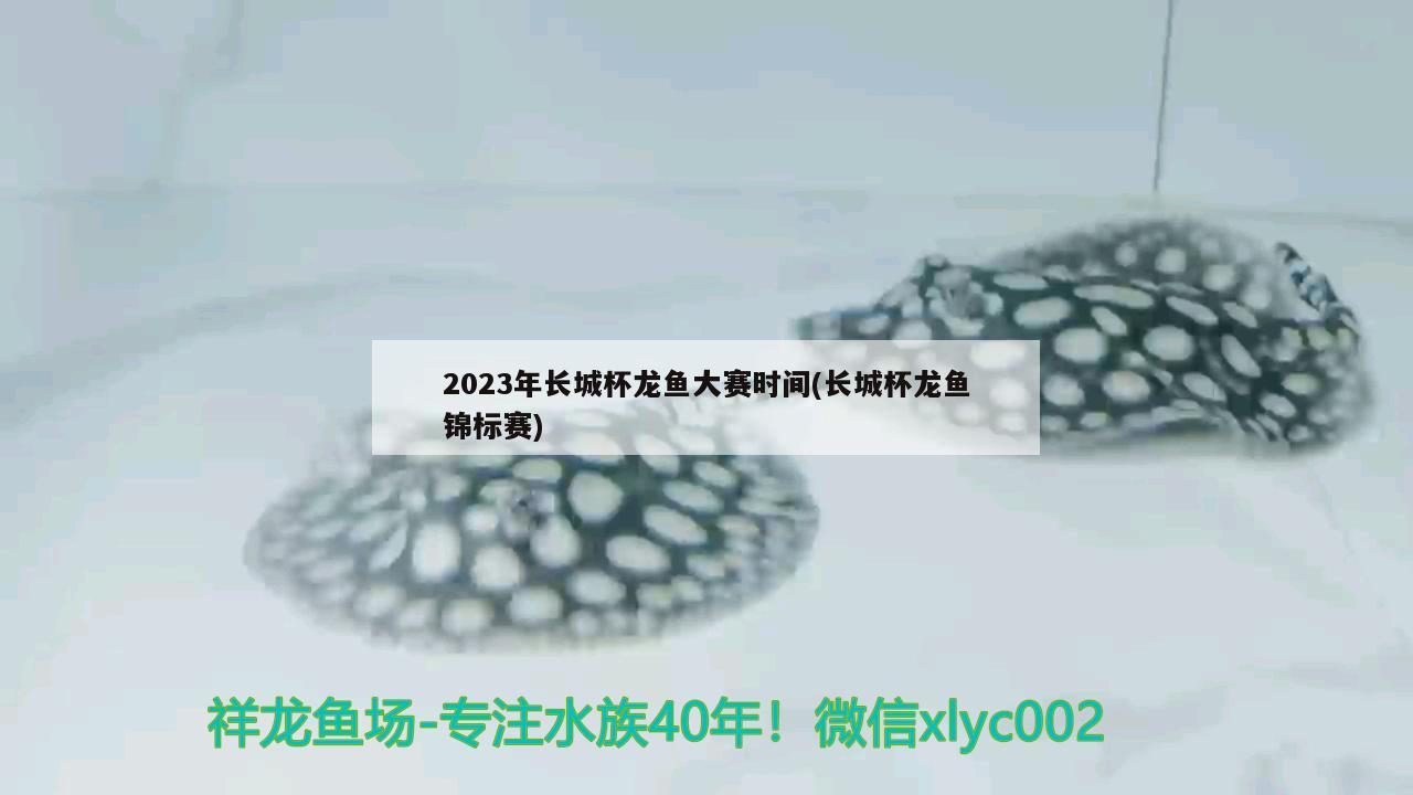 2023年長城杯龍魚大賽時間(長城杯龍魚錦標(biāo)賽) 2024第28屆中國國際寵物水族展覽會CIPS（長城寵物展2024 CIPS）