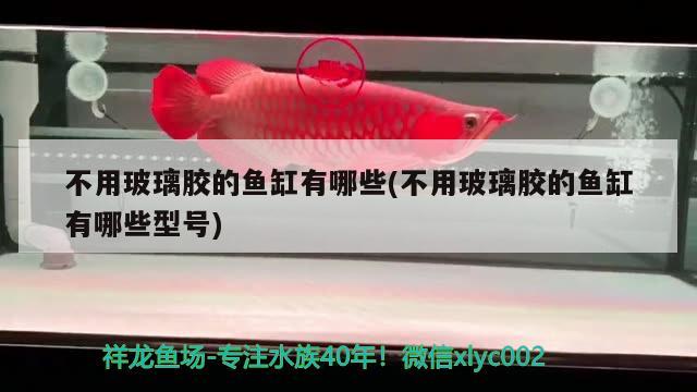 不用玻璃膠的魚缸有哪些(不用玻璃膠的魚缸有哪些型號(hào))