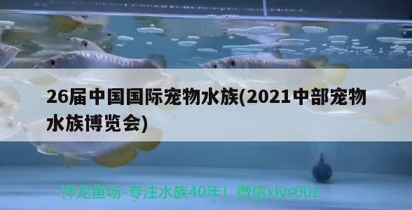 26屆中國(guó)國(guó)際寵物水族(2021中部寵物水族博覽會(huì))