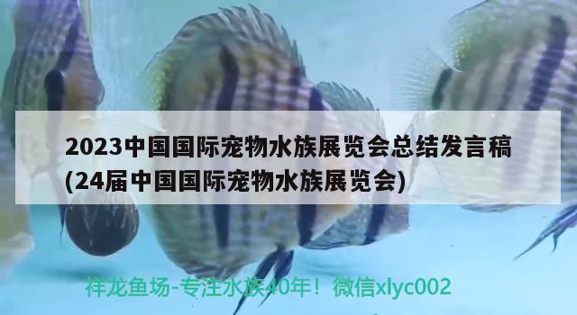 2023中國(guó)國(guó)際寵物水族展覽會(huì)總結(jié)發(fā)言稿(24屆中國(guó)國(guó)際寵物水族展覽會(huì))