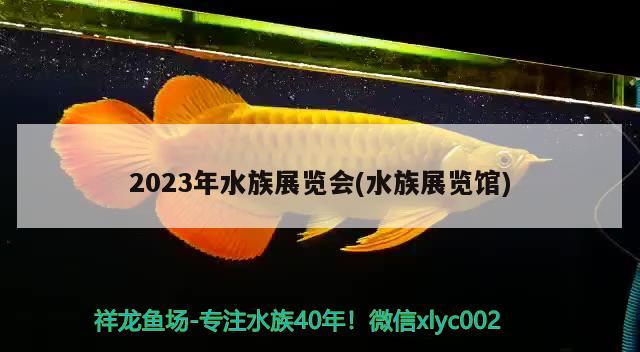 2023年水族展覽會(水族展覽館)