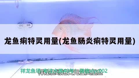 龍魚痢特靈用量(龍魚腸炎痢特靈用量) 2024第28屆中國(guó)國(guó)際寵物水族展覽會(huì)CIPS（長(zhǎng)城寵物展2024 CIPS） 第1張