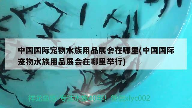 中國(guó)國(guó)際寵物水族用品展會(huì)在哪里(中國(guó)國(guó)際寵物水族用品展會(huì)在哪里舉行)