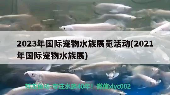 2023年國際寵物水族展覽活動(2021年國際寵物水族展)