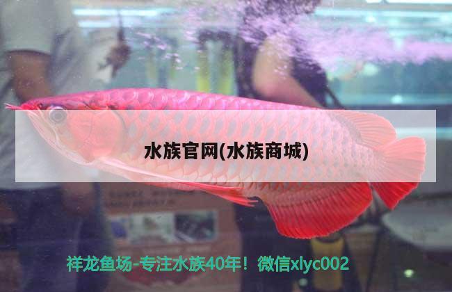 水族官網(wǎng)(水族商城) 2024第28屆中國(guó)國(guó)際寵物水族展覽會(huì)CIPS（長(zhǎng)城寵物展2024 CIPS）