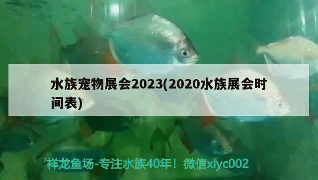 水族寵物展會2023(2020水族展會時間表)