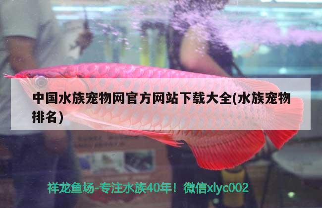 中國(guó)水族寵物網(wǎng)官方網(wǎng)站下載大全(水族寵物排名)