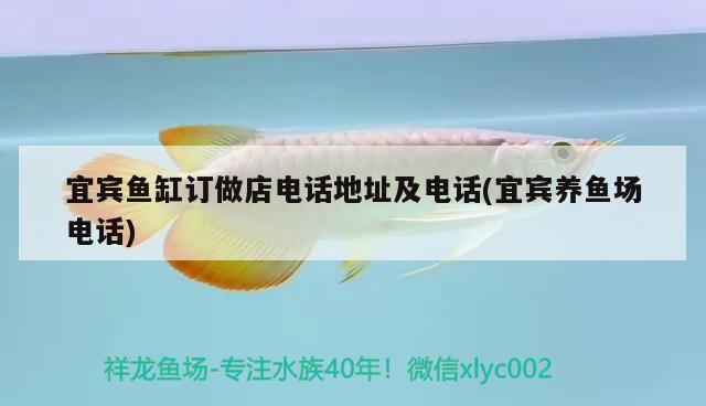 宜賓魚缸訂做店電話地址及電話(宜賓養(yǎng)魚場電話)