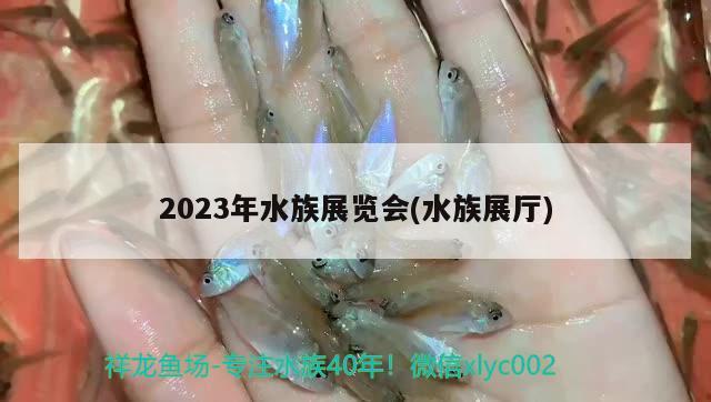 2023年水族展覽會(水族展廳) 水族展會