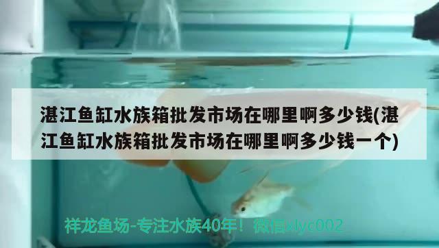 湛江魚缸水族箱批發(fā)市場在哪里啊多少錢(湛江魚缸水族箱批發(fā)市場在哪里啊多少錢一個(gè))