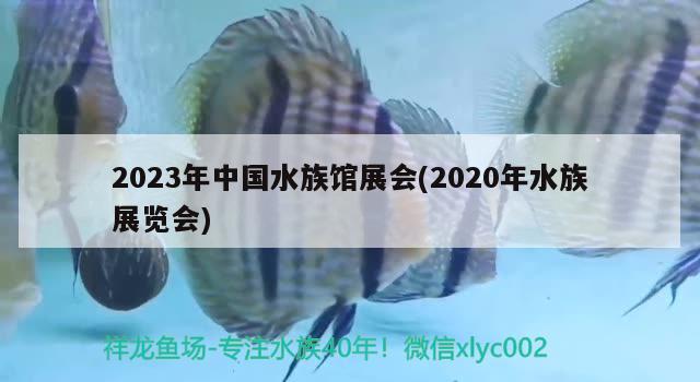 2023年中國水族館展會(2020年水族展覽會)