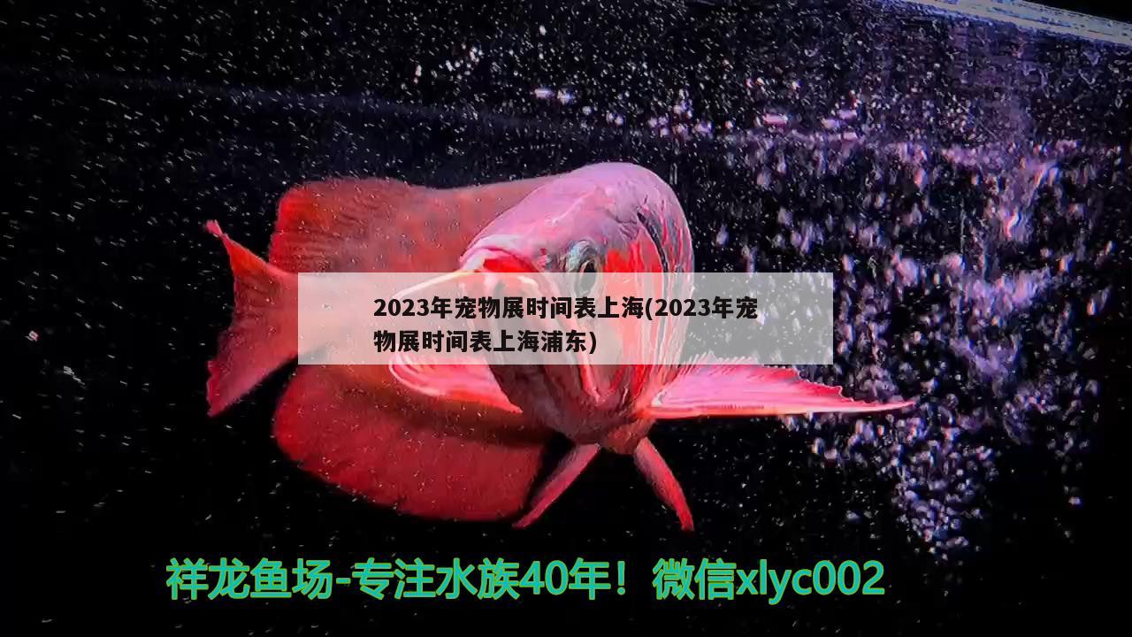 2023年寵物展時(shí)間表上海(2023年寵物展時(shí)間表上海浦東) 2024第28屆中國(guó)國(guó)際寵物水族展覽會(huì)CIPS（長(zhǎng)城寵物展2024 CIPS）