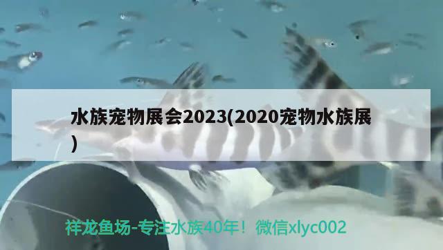 水族寵物展會2023(2020寵物水族展)