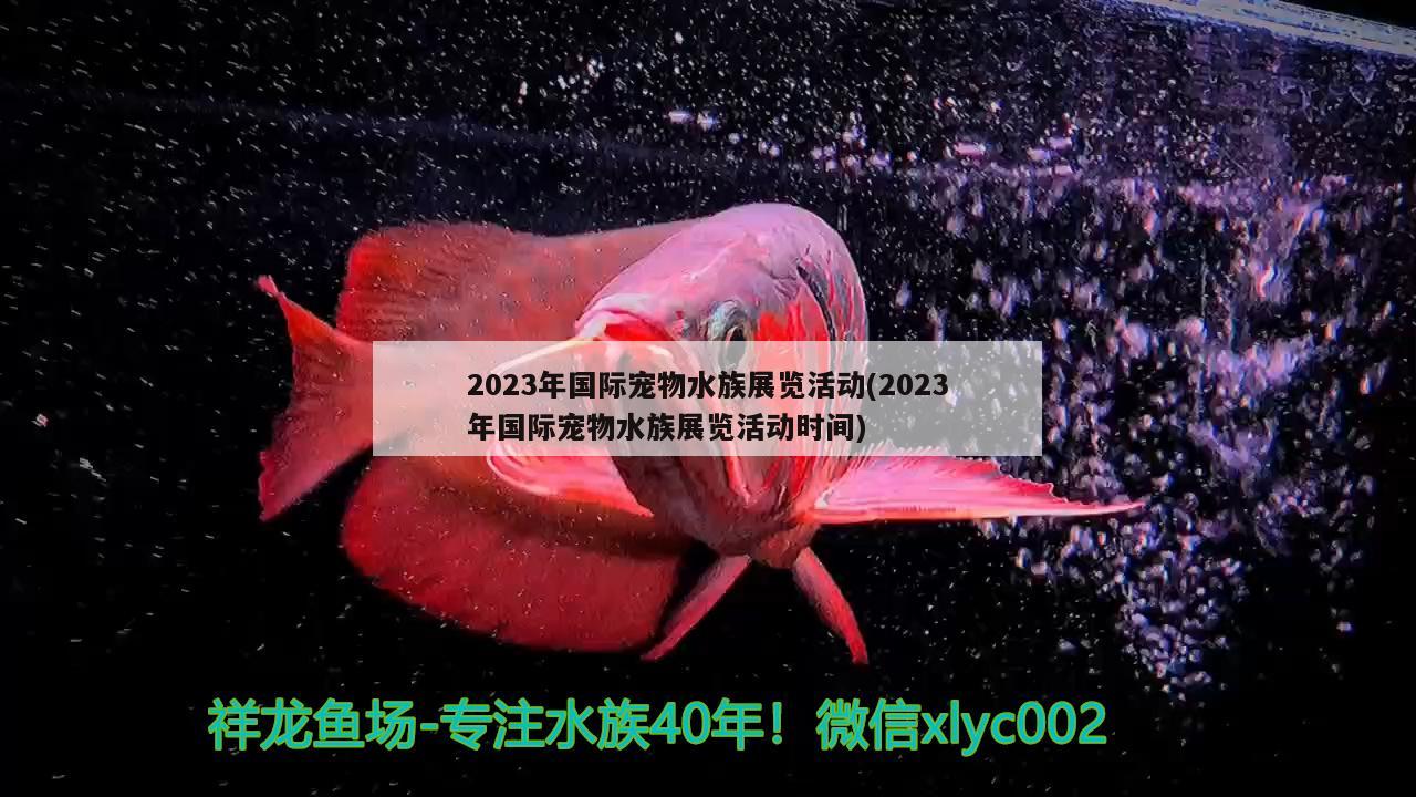 2023年國際寵物水族展覽活動(2023年國際寵物水族展覽活動時間)