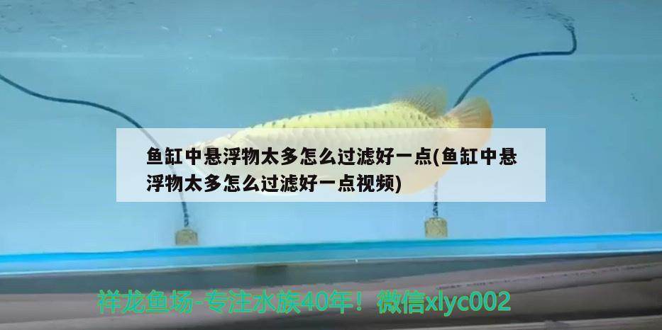 魚缸中懸浮物太多怎么過濾好一點(diǎn)(魚缸中懸浮物太多怎么過濾好一點(diǎn)視頻)