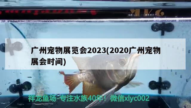 廣州寵物展覽會(huì)2023(2020廣州寵物展會(huì)時(shí)間)