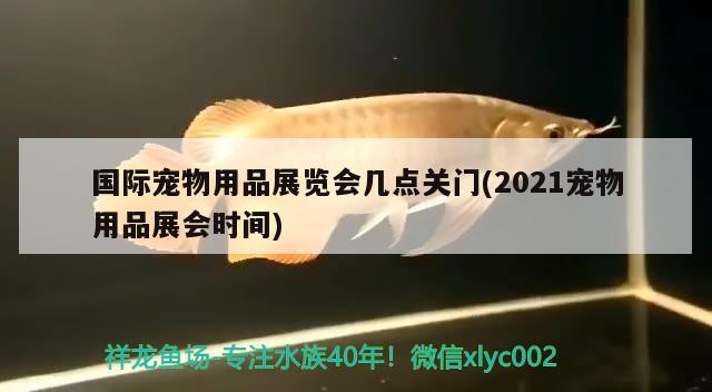 國(guó)際寵物用品展覽會(huì)幾點(diǎn)關(guān)門(2021寵物用品展會(huì)時(shí)間)