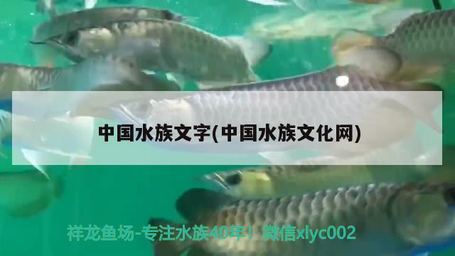 中國水族文字(中國水族文化網(wǎng)) 2024第28屆中國國際寵物水族展覽會CIPS（長城寵物展2024 CIPS）