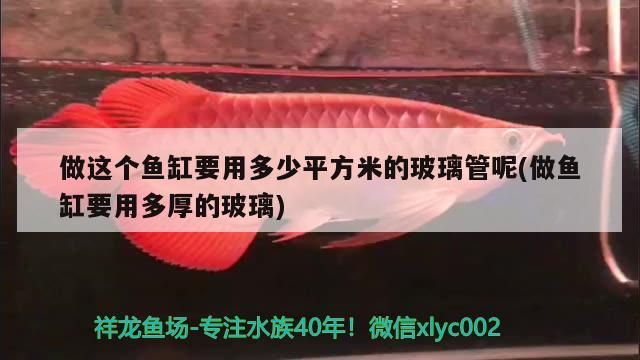 做這個(gè)魚(yú)缸要用多少平方米的玻璃管呢(做魚(yú)缸要用多厚的玻璃) 龍魚(yú)百科