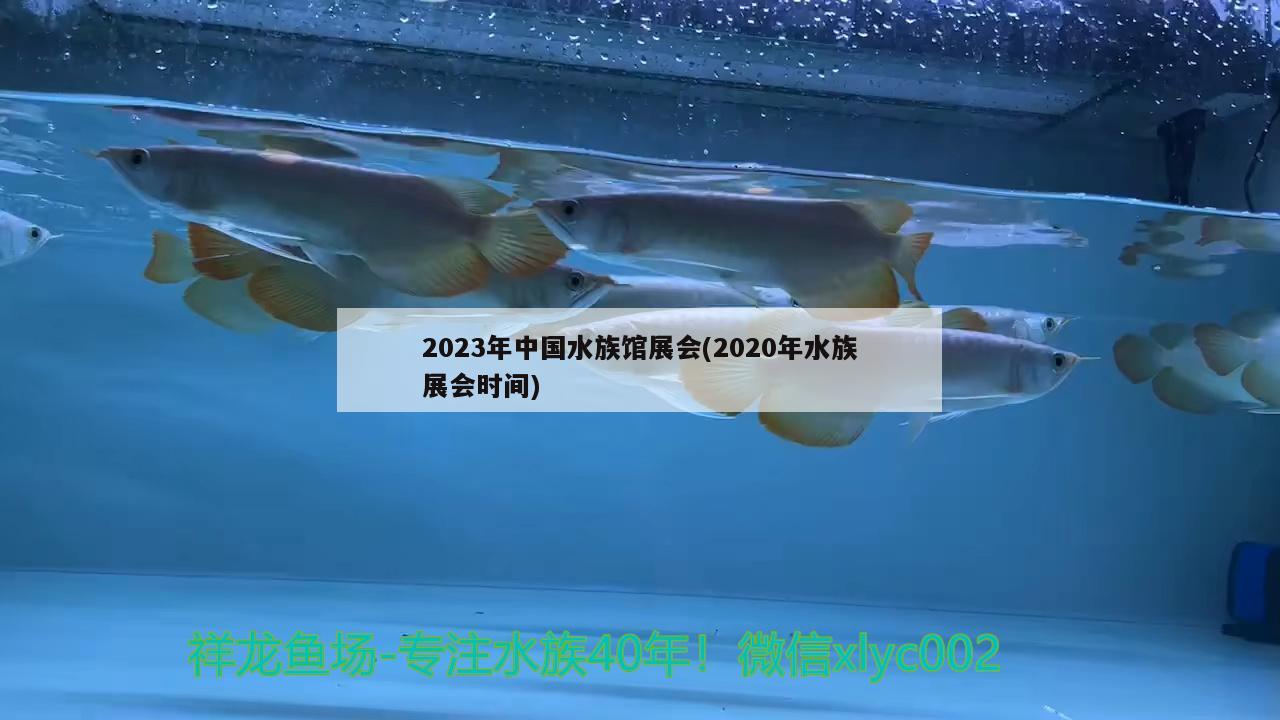 2023年中國水族館展會(2020年水族展會時間) 水族展會