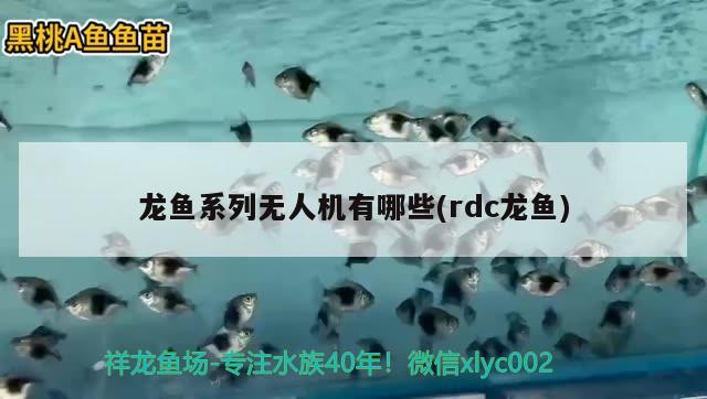 龍魚系列無人機有哪些(rdc龍魚)