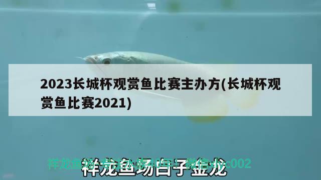 2023長(zhǎng)城杯觀賞魚(yú)比賽主辦方(長(zhǎng)城杯觀賞魚(yú)比賽2021)