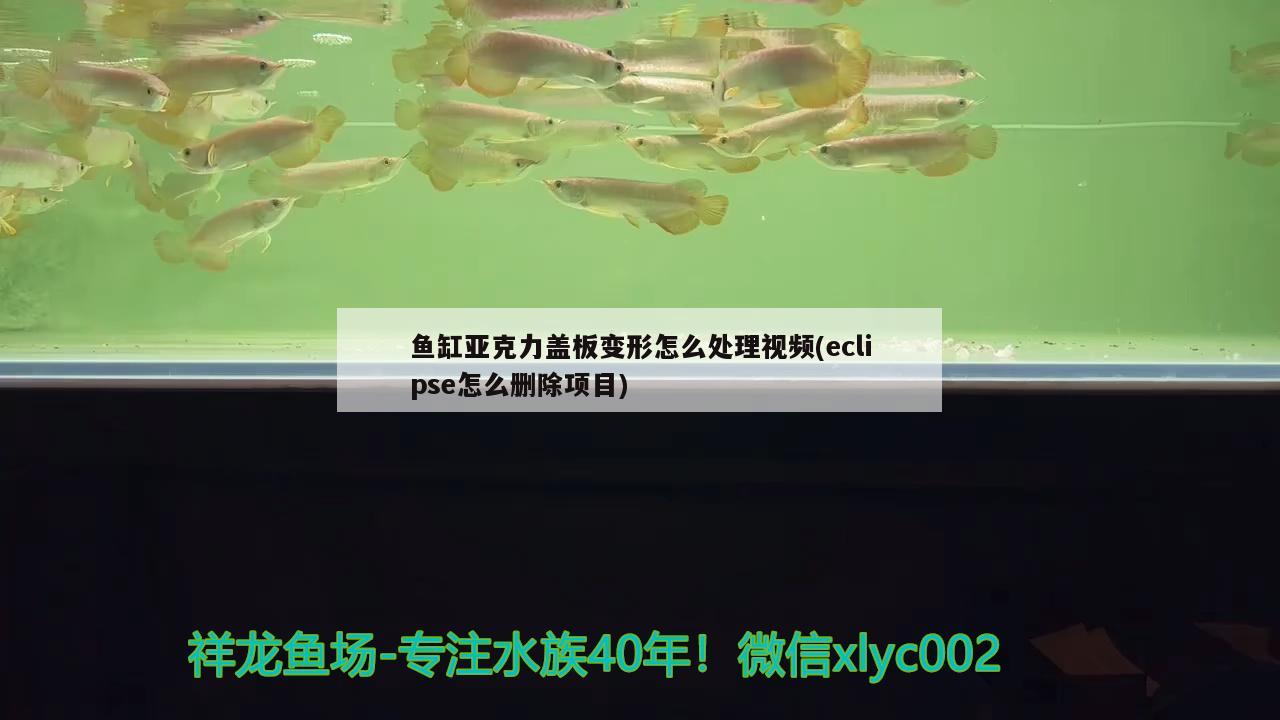 魚(yú)缸亞克力蓋板變形怎么處理視頻(eclipse怎么刪除項(xiàng)目) 鸚鵡魚(yú)