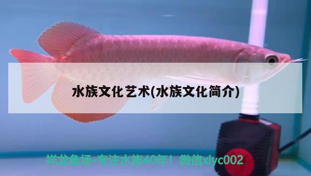 水族文化藝術(shù)(水族文化簡(jiǎn)介) 2025第29屆中國(guó)國(guó)際寵物水族展覽會(huì)CIPS（長(zhǎng)城寵物展2025 CIPS）