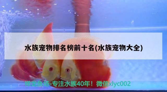 水族寵物排名榜前十名(水族寵物大全)