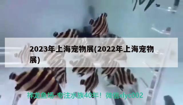 2023年上海寵物展(2022年上海寵物展)