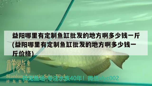 益陽哪里有定制魚缸批發(fā)的地方啊多少錢一斤(益陽哪里有定制魚缸批發(fā)的地方啊多少錢一斤價(jià)格) 蝴蝶鯉