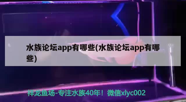 水族論壇app有哪些(水族論壇app有哪些)