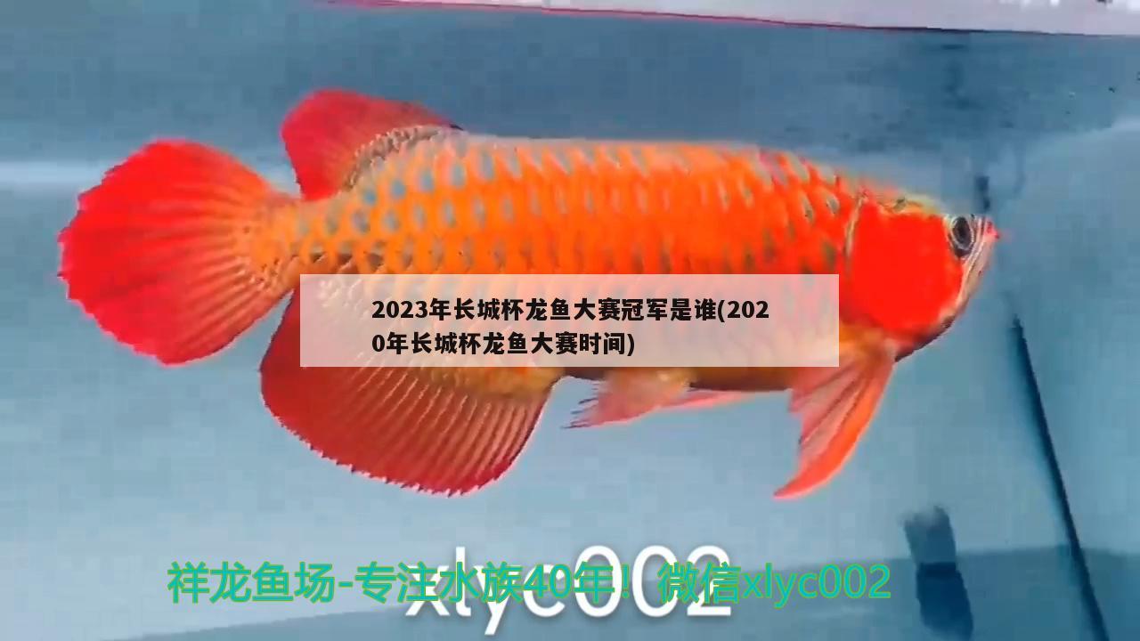 2023年長(zhǎng)城杯龍魚(yú)大賽冠軍是誰(shuí)(2020年長(zhǎng)城杯龍魚(yú)大賽時(shí)間)