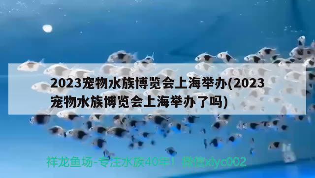 2023寵物水族博覽會上海舉辦(2023寵物水族博覽會上海舉辦了嗎)