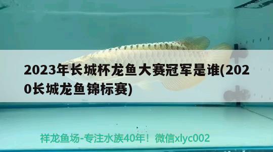 2023年長城杯龍魚大賽冠軍是誰(2020長城龍魚錦標(biāo)賽)