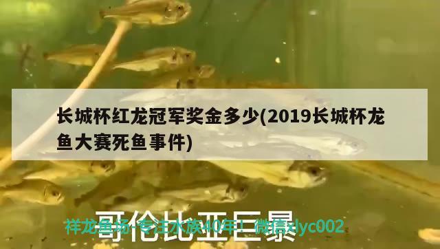 長(zhǎng)城杯紅龍冠軍獎(jiǎng)金多少(2019長(zhǎng)城杯龍魚大賽死魚事件) 2024第28屆中國(guó)國(guó)際寵物水族展覽會(huì)CIPS（長(zhǎng)城寵物展2024 CIPS）