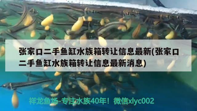 張家口二手魚缸水族箱轉(zhuǎn)讓信息最新(張家口二手魚缸水族箱轉(zhuǎn)讓信息最新消息) 魚缸/水族箱