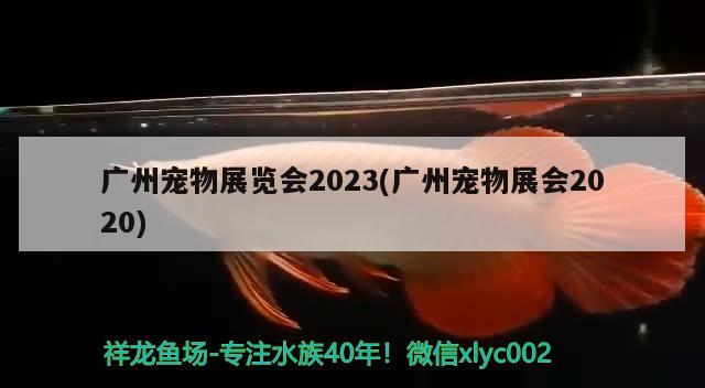 廣州寵物展覽會(huì)2023(廣州寵物展會(huì)2020)