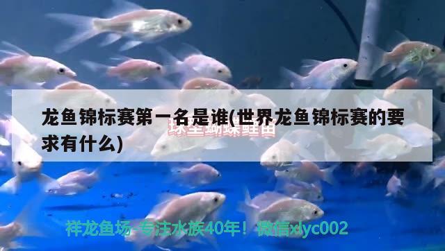 龍魚錦標(biāo)賽第一名是誰(世界龍魚錦標(biāo)賽的要求有什么)