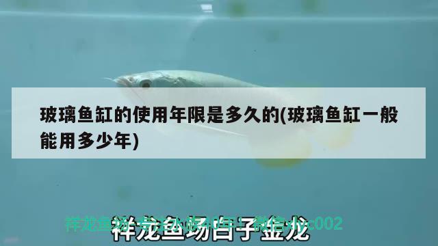 玻璃魚缸的使用年限是多久的(玻璃魚缸一般能用多少年) 豬鼻龜百科