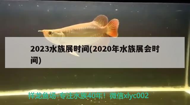 2023水族展時間(2020年水族展會時間)