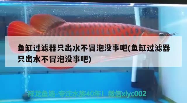 魚缸過濾器只出水不冒泡沒事吧(魚缸過濾器只出水不冒泡沒事吧)