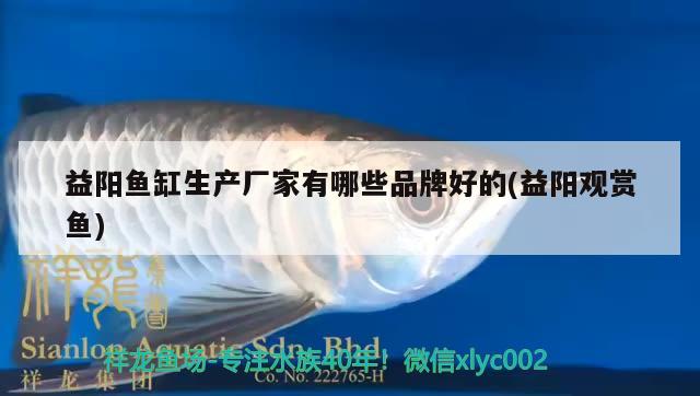 益陽魚缸生產(chǎn)廠家有哪些品牌好的(益陽觀賞魚) 一眉道人魚