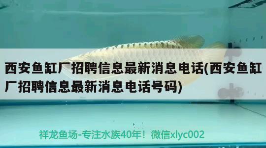 西安魚缸廠招聘信息最新消息電話(西安魚缸廠招聘信息最新消息電話號(hào)碼) 豹紋夫魚苗 第1張