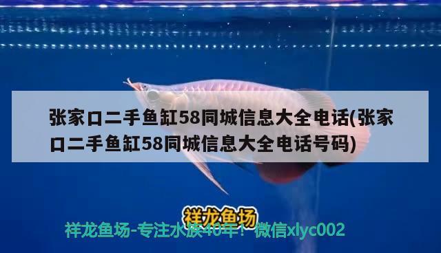 張家口二手魚缸58同城信息大全電話(張家口二手魚缸58同城信息大全電話號(hào)碼) 斯維尼關(guān)刀魚 第1張