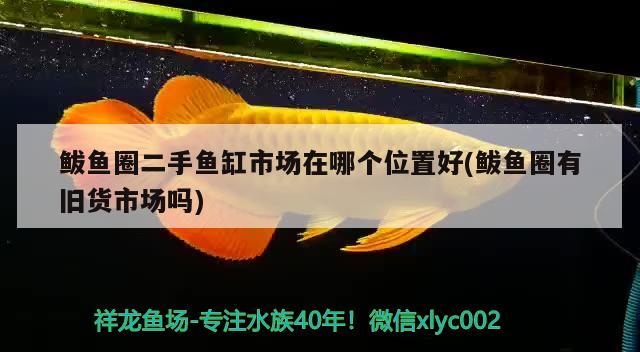 鲅魚圈二手魚缸市場在哪個(gè)位置好(鲅魚圈有舊貨市場嗎) 龍魚專用燈