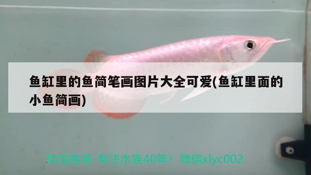 魚缸里的魚簡筆畫圖片大全可愛(魚缸里面的小魚簡畫)