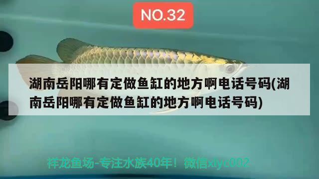 湖南岳陽哪有定做魚缸的地方啊電話號(hào)碼(湖南岳陽哪有定做魚缸的地方啊電話號(hào)碼) 進(jìn)口元寶鳳凰魚